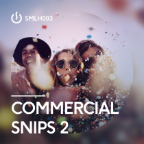 Commercial Snips 2