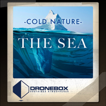 Cold Nature The Sea
