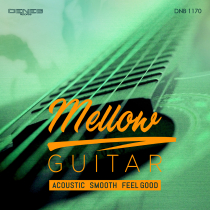 Mellow Guitar