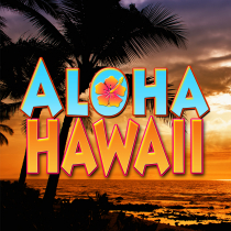 Aloha Hawaii
