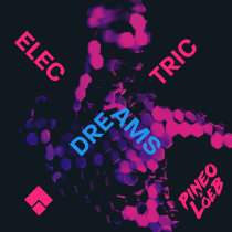 Pineo and Loeb Electric Dreams