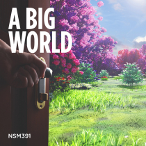 A Big World