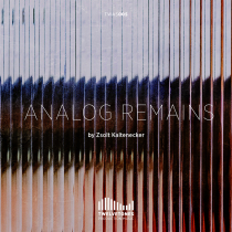 Analog Remains