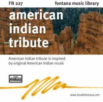 American Indian Tribute