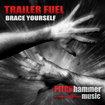 Trailer Fuel Brace Yourself