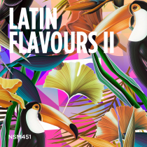 Latin Flavours II
