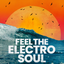 Feel The Electro Soul
